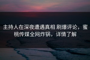 主持人在深夜遭遇真相 刷爆评论，蜜桃传媒全网炸锅，详情了解