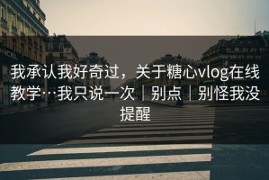 我承认我好奇过，关于糖心vlog在线教学…我只说一次｜别点｜别怪我没提醒