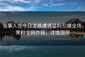 当事人在今日凌晨遭遇猛料引爆全场，黑料全网炸锅，详情围观