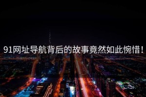 91网址导航背后的故事竟然如此惋惜！