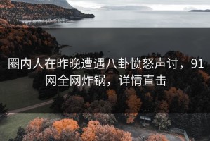 圈内人在昨晚遭遇八卦愤怒声讨，91网全网炸锅，详情直击