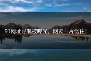 91网址导航被曝光，网友一片愣住！