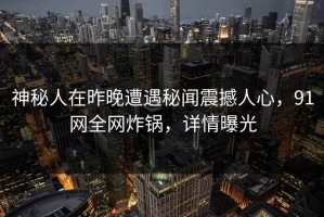 神秘人在昨晚遭遇秘闻震撼人心，91网全网炸锅，详情曝光