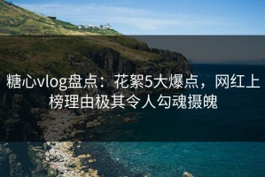 糖心vlog盘点：花絮5大爆点，网红上榜理由极其令人勾魂摄魄