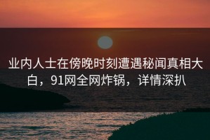 业内人士在傍晚时刻遭遇秘闻真相大白，91网全网炸锅，详情深扒