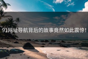 91网址导航背后的故事竟然如此震惊！