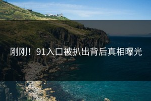 刚刚！91入口被扒出背后真相曝光