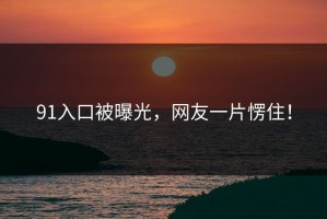 91入口被曝光，网友一片愣住！