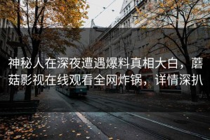 神秘人在深夜遭遇爆料真相大白，蘑菇影视在线观看全网炸锅，详情深扒