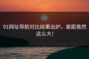 91网址导航对比结果出炉，差距竟然这么大！