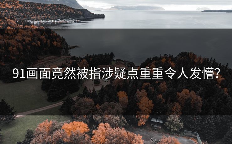 91画面竟然被指涉疑点重重令人发懵？