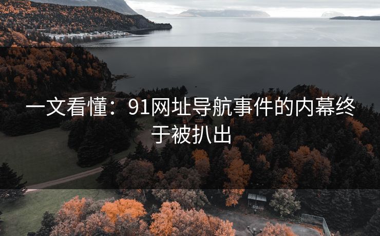 一文看懂：91网址导航事件的内幕终于被扒出