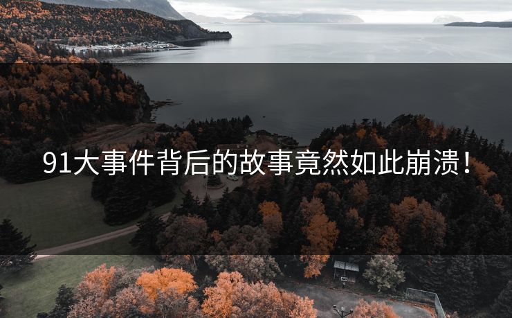 91大事件背后的故事竟然如此崩溃！