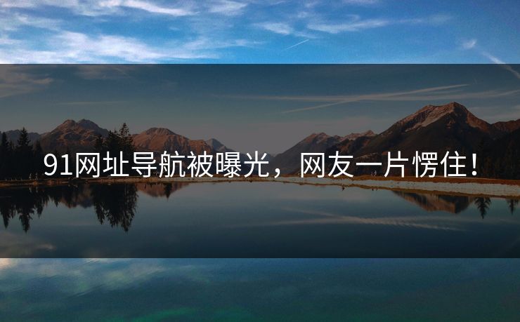 91网址导航被曝光，网友一片愣住！