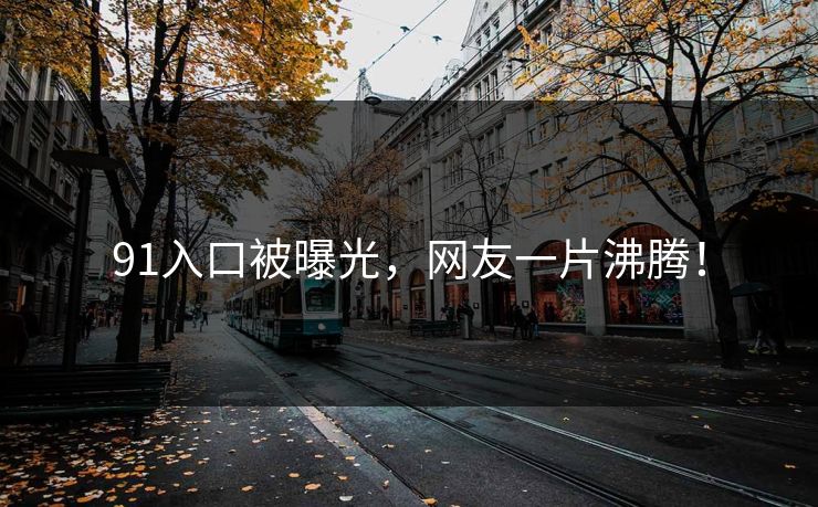 91入口被曝光，网友一片沸腾！