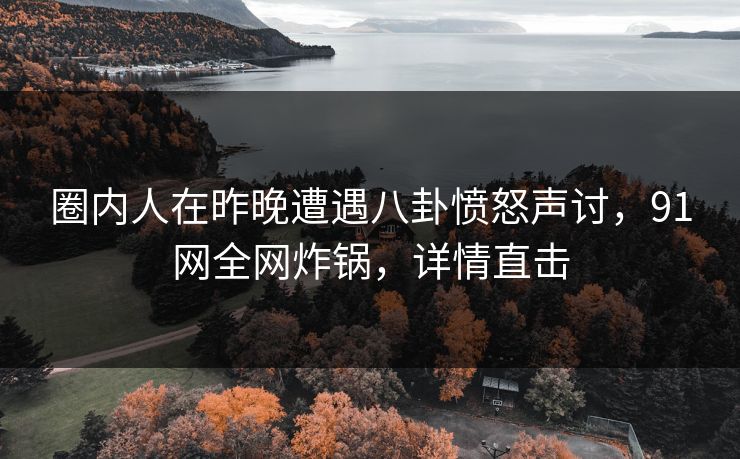 圈内人在昨晚遭遇八卦愤怒声讨，91网全网炸锅，详情直击