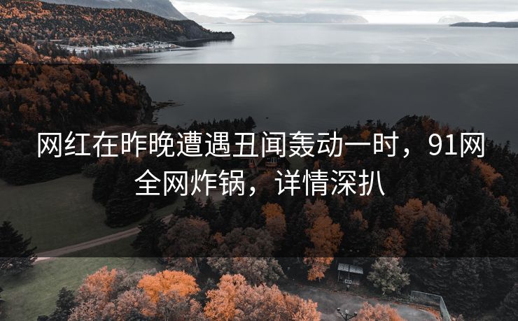 网红在昨晚遭遇丑闻轰动一时，91网全网炸锅，详情深扒