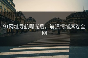 91网址导航曝光后，崩溃情绪席卷全网
