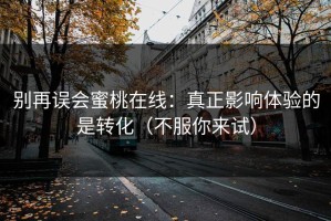 别再误会蜜桃在线：真正影响体验的是转化（不服你来试）