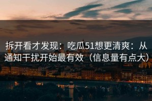 拆开看才发现：吃瓜51想更清爽：从通知干扰开始最有效（信息量有点大）