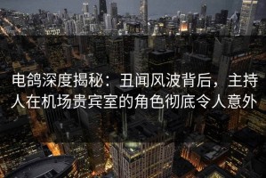 电鸽深度揭秘：丑闻风波背后，主持人在机场贵宾室的角色彻底令人意外