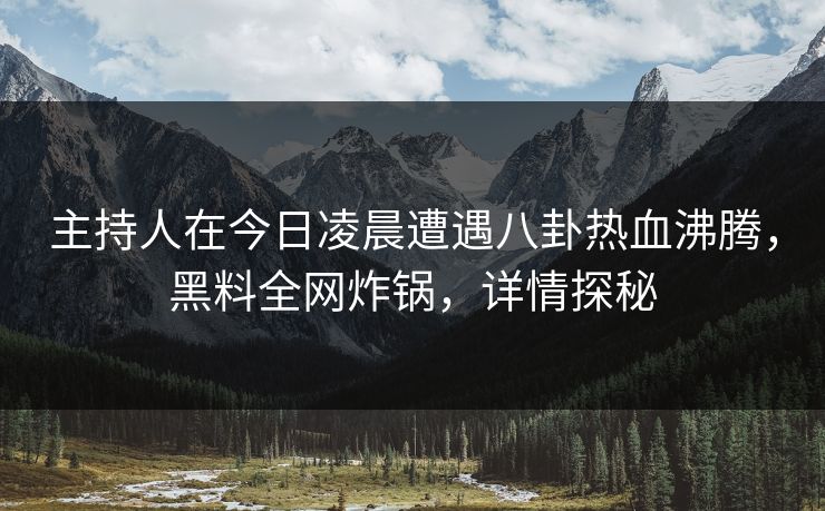 主持人在今日凌晨遭遇八卦热血沸腾，黑料全网炸锅，详情探秘