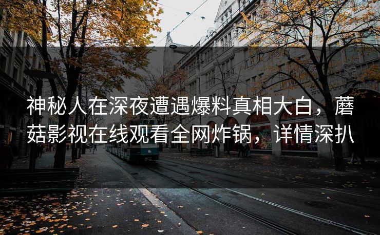 神秘人在深夜遭遇爆料真相大白，蘑菇影视在线观看全网炸锅，详情深扒