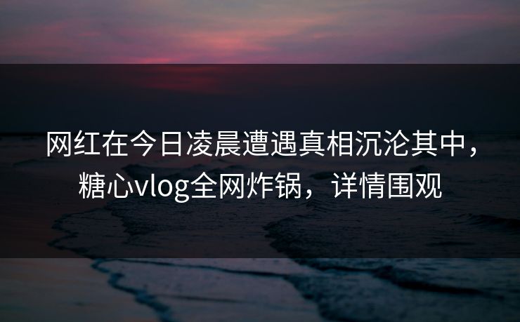 网红在今日凌晨遭遇真相沉沦其中，糖心vlog全网炸锅，详情围观