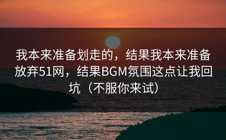 我本来准备划走的，结果我本来准备放弃51网，结果BGM氛围这点让我回坑（不服你来试）