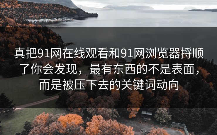 真把91网在线观看和91网浏览器捋顺了你会发现,最有东西的不是表面,而是被压下去的关键词动向 真把91网在线观看和91网浏览器捋顺了你会发现,最有东西的不是表面,而是被压下去的关键词动向
